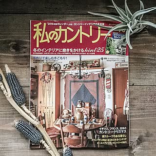 棚/チランジア/コーンのドライ/私のカントリー/雑誌掲載...などのインテリア実例 - 2015-11-15 18:26:25