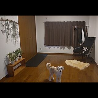 部屋全体/カフェ風/賃貸/断捨離/狭い家...などのインテリア実例 - 2023-04-16 04:39:07