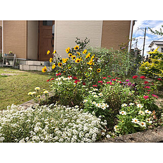庭DIY/芝生の庭/庭仕事/花壇 手作り/花壇...などのインテリア実例 - 2020-10-08 14:43:12