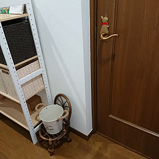 バス/トイレ/ねこ部/猫と暮らす/ねこのいる日常/保護猫と暮らす...などのインテリア実例 - 2021-01-23 15:48:04