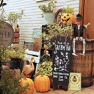 玄関/入り口/ハロウィン雑貨/ハロウィンディスプレイ/カフェ風/ワイヤープランツ...などのインテリア実例 - 2018-10-18 17:17:53