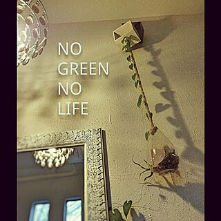 壁/天井/NO GREEN NO LIFE/照明/植物/green...などのインテリア実例 - 2016-07-31 20:51:13