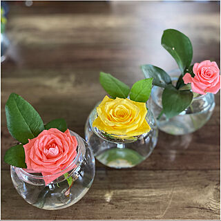 花瓶のお花/glass/薔薇/花のある風景/花のある暮らし♡...などのインテリア実例 - 2021-07-05 11:20:46