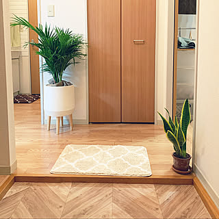 玄関 入り口 金運アップのインテリア実例 Roomclip ルームクリップ