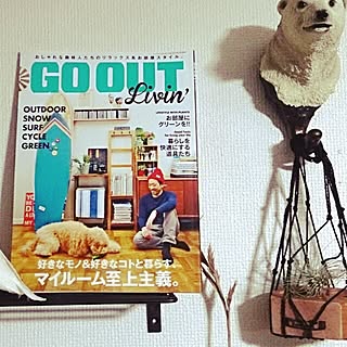 壁/天井/グリーン/エアプランツ/買ったもの/ツボな雑誌...などのインテリア実例 - 2014-02-26 21:17:10