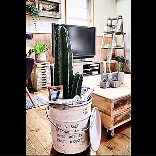 机/グリーン/cactus/柱サボテン/ステンシル...などのインテリア実例 - 2015-10-24 20:34:21