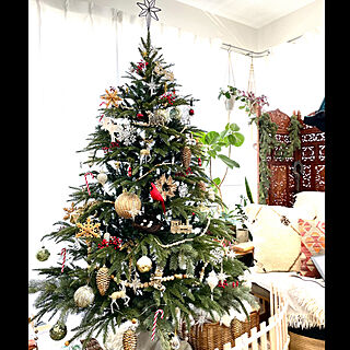 狭い部屋でもツリーは絶対飾る！/ギャッベ/キリムクッションカバー/キリムクッション/クリスマスツリー180cm...などのインテリア実例 - 2022-12-01 20:18:55