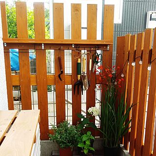 玄関/入り口/手作りフェンス/猫の額ほどの庭/紫陽花のインテリア実例 - 2017-07-14 06:45:44