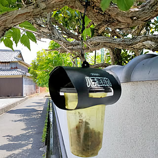 玄関/入り口/フマキラーの蜂激取れ/花の寺/築40年賃貸/北欧も好き♡...などのインテリア実例 - 2022-05-02 17:18:07