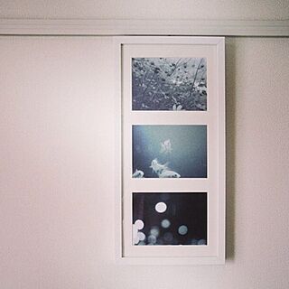 壁/天井/手作り/IKEA/写真のインテリア実例 - 2013-06-06 23:54:29
