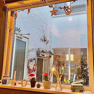 サボテン/クリスマス雑貨/窓のある風景/中庭からの景色/中庭の見えるリビング...などのインテリア実例 - 2021-12-11 00:42:58