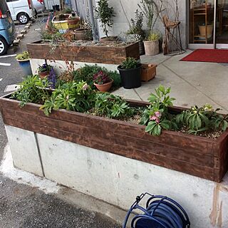 植物/DIY/木製プランター/美容院のインテリア実例 - 2016-04-08 15:40:09