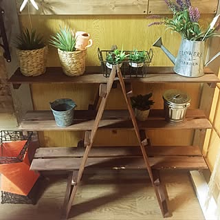 キッチン/フェイク植物/木/壁DIY/DIY...などのインテリア実例 - 2016-07-16 19:49:13