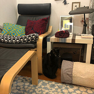 IKEAのクッション/IKEAの椅子とテーブル/猫のおもちゃのトンネル/リビングのインテリア実例 - 2020-11-25 21:41:15