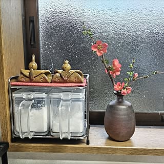 棚/季節を楽しむ暮らし/築70年/陶器のお雛様/木瓜の花...などのインテリア実例 - 2024-02-11 07:32:54