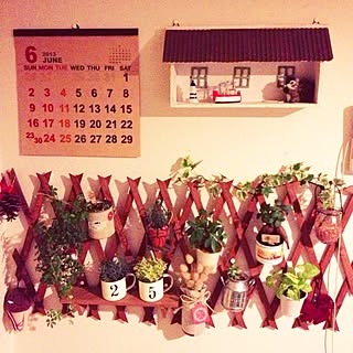 壁/天井/カレンダー2013/植物のインテリア実例 - 2013-06-18 20:23:03