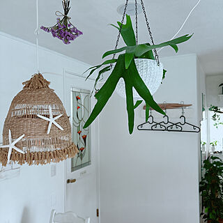 壁/天井/ヒトデのアート手作り/花と緑のある暮らし/IKEAのハンガー/流木のフック...などのインテリア実例 - 2024-02-29 16:17:25