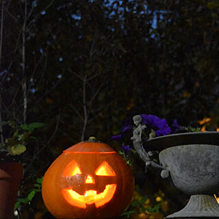 ハロウィン/かぼちゃ/花のある暮らし/暮らしを楽しむ/ガーデニング...などのインテリア実例 - 2020-10-31 22:00:38