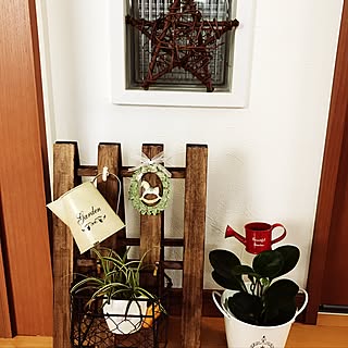 ぶりきバケツ/観葉植物♡/DIY/100均/ハンドメイド...などのインテリア実例 - 2016-12-06 09:07:57