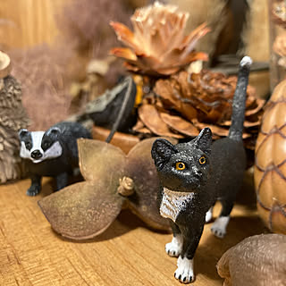 動物フィギュア/Schleich/シュライヒ/Instagram→kenko1126/@carameland_2017...などのインテリア実例 - 2022-10-27 20:31:30