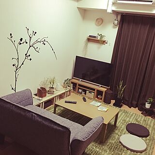 部屋全体/観葉植物/植物/雑貨/一人暮らし...などのインテリア実例 - 2015-02-07 18:33:36