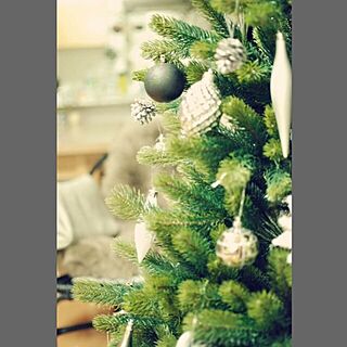 リビング/IKEA/ニトリ/ダイソー/クリスマスツリー...などのインテリア実例 - 2015-11-20 16:04:18