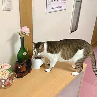 haruminさんの実例写真