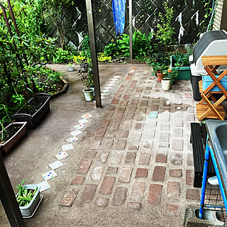 庭/DIY/ガーデン/レンガ/固まる土...などのインテリア実例 - 2022-08-13 03:13:39