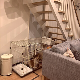 北欧 犬のゲージのおしゃれなインテリア 部屋 家具の実例 Roomclip ルームクリップ