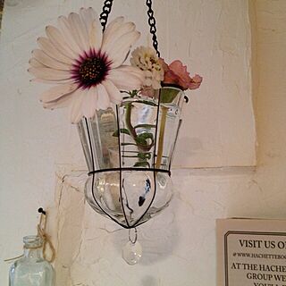 壁/天井/花瓶⁇のインテリア実例 - 2013-03-01 14:50:23