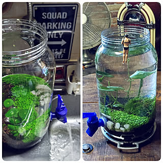 鉢底ネットのインテリア実例 Roomclip ルームクリップ