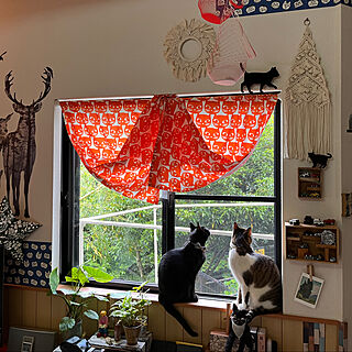 miyuちゃんのくれた黒猫ライト/IKEA猫柄カーテン/monnさんのマクラメ/窓辺の猫/猫のいる暮らし...などのインテリア実例 - 2022-05-14 16:32:36