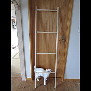 ＤＩＹ/ラダー/バス/トイレのインテリア実例 - 2015-06-01 15:36:30