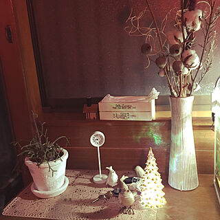 白いフラワーベース/クリスマス/白い植木鉢/リプサリス❤︎/木の枝♡...などのインテリア実例 - 2020-11-04 21:11:05