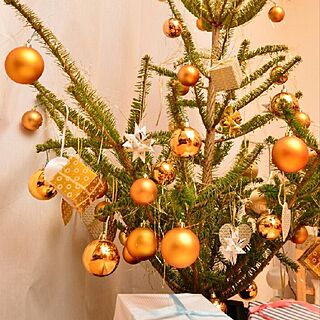リビング/生もみの木/ゴールド/クリスマス/IKEAのインテリア実例 - 2015-11-21 19:38:08