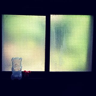 壁/天井/昭和のガラス/2階廊下窓のインテリア実例 - 2014-05-07 21:05:34