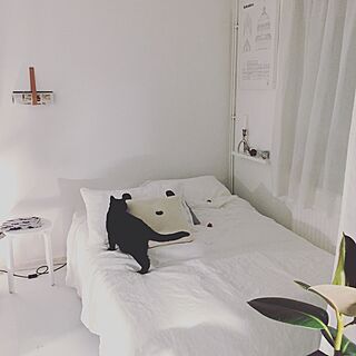 ベッド周り/黒猫/猫/ねこのいる日常/IKEA...などのインテリア実例 - 2016-01-15 02:36:52