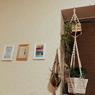 壁/天井/プラントハンガー/植物/フチ子さんのインテリア実例 - 2015-01-04 21:01:16