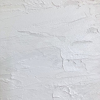 morumoru/ニッペホームプロダクツ/しっくい壁DIY/漆喰壁DIY/ニッペ塗料...などのインテリア実例 - 2020-08-07 13:32:10