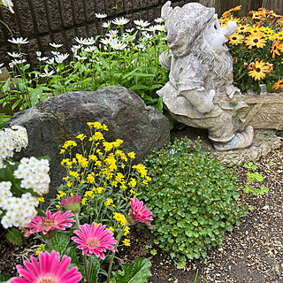 玄関/入り口/春の花のインテリア実例 - 2024-04-27 14:56:45