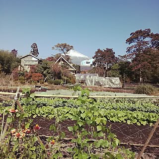 玄関/入り口/富士山が見える家*\(◡̈)/*/BESの家/ネコと暮らす/ナチュラル...などのインテリア実例 - 2016-11-13 15:01:16