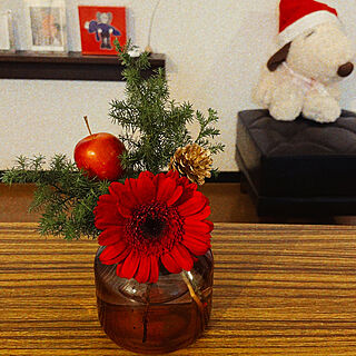 クリスマス/カリモク60/観葉植物/スヌーピー/お花...などのインテリア実例 - 2021-12-23 16:51:23