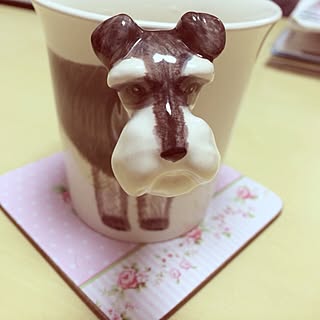 キッチン/Francfranc食器/フランフランのインテリア実例 - 2013-11-09 17:11:08