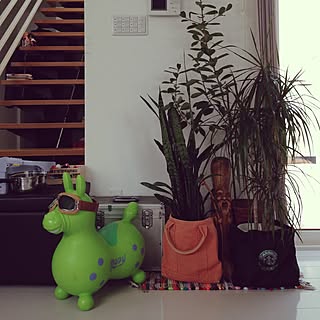 観葉植物/Rody/鉛筆削りオブジェの会のインテリア実例 - 2015-01-21 15:38:06