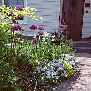 アリウムパープルセンセーションのインテリア実例 Roomclip ルームクリップ