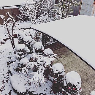 玄関/入り口/2階のベランダからの景色/お庭/雪のインテリア実例 - 2017-01-15 10:48:37