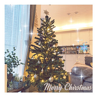 IKEA/クリスマスツリー/クリスマス/ダイソー/100均...などのインテリア実例 - 2021-12-01 16:22:34