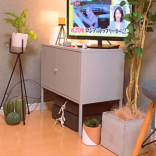 リビング/テレビボード/IKEA/フェイクグリーン/観葉植物...などのインテリア実例 - 2019-01-21 21:38:06