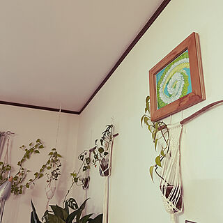 壁/天井/Boloker Art/リビングの壁/観葉植物/ハンギンググリーンのインテリア実例 - 2023-10-05 18:00:32