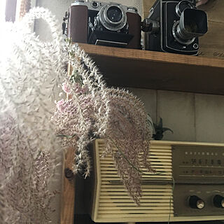 棚/棚DIY/アンティークカメラ/アンティークラジオ/すすき...などのインテリア実例 - 2017-10-06 07:35:16